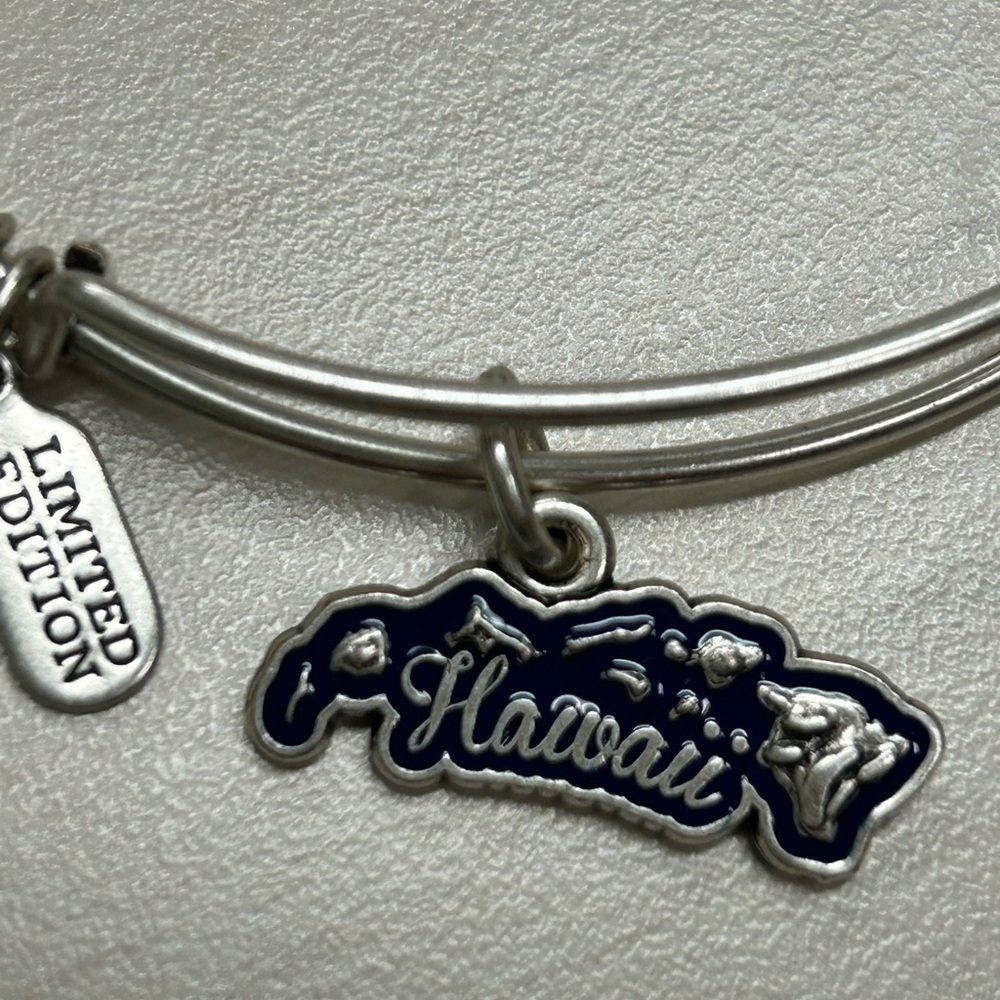 Alex and Ani Hawaii Islands Silver Tone Bracelet